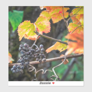 Ripe Isabella Traube Aufkleber