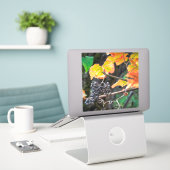 Ripe Isabella Traube Aufkleber (Laptop auf Schreibtisch)