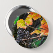 Ripe Isabella Traube Button (Vorne & Hinten)