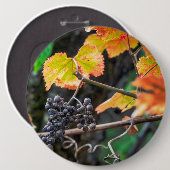Ripe Isabella Traube Button (Vorne & Hinten)