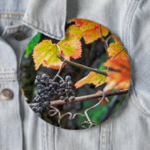 Ripe Isabella Traube Button (Beispiel)