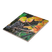 Ripe Isabella Traube Fliese (Seite)