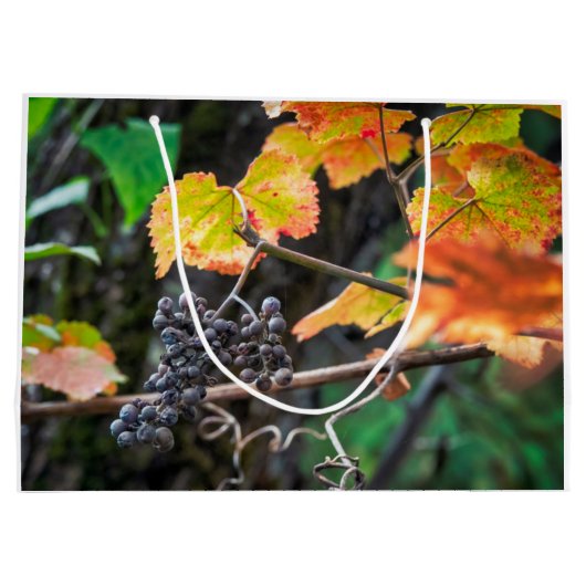 Ripe Isabella Traube Große Geschenktüte (Rückseite)