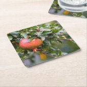 Ripe Pomegranat auf dem grünen Shrub Rechteckiger Pappuntersetzer (angewinkelt)