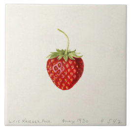 Ripe Red Strawberry (von Louis C.C. Krieger) Fliese