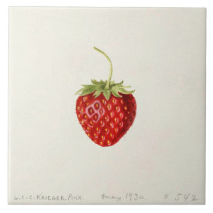 Ripe Red Strawberry (von Louis C.C. Krieger) Fliese