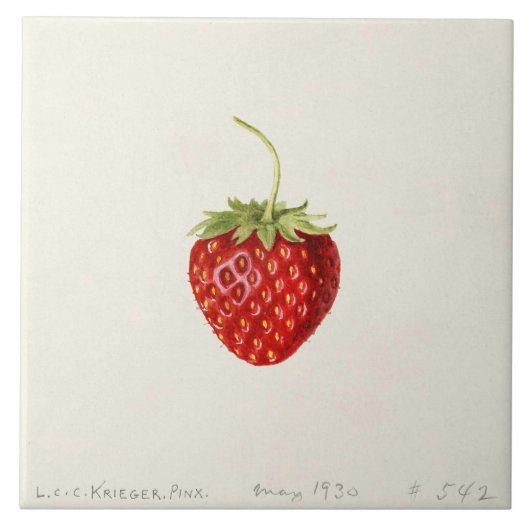 Ripe Red Strawberry (von Louis C.C. Krieger) Fliese (Vorderseite)