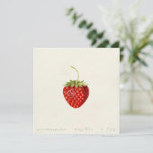 Ripe Red Strawberry (von Louis C.C. Krieger) Karte (Stehend Vorderseite)