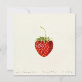 Ripe Red Strawberry (von Louis C.C. Krieger) Karte