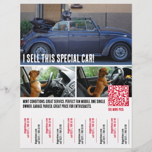 Ripp of Tears Auto-Verkaufsflyer Flyer (Vorne)