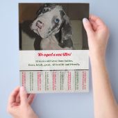 Ripp Off Flyer Puppy verkauft rot grün (Hand)