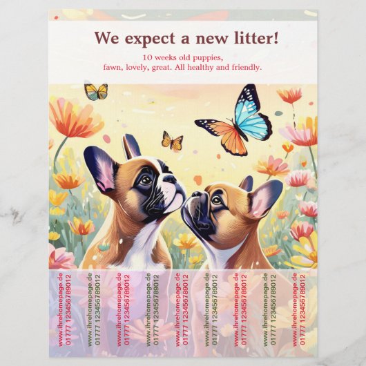 Ripp-Off French Bulldog Welppies Flyer (Vorne)