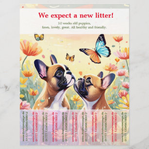 Ripp-Off French Bulldog Welppies Flyer