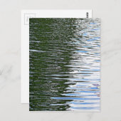 Rippchenwasser Postkarte (Vorne/Hinten)