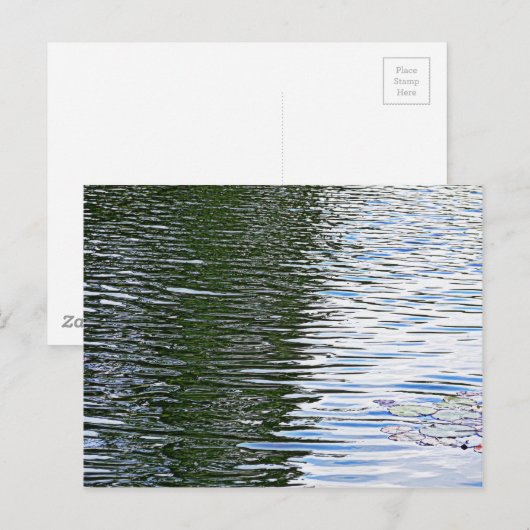 Rippchenwasser Postkarte (Vorne/Hinten)