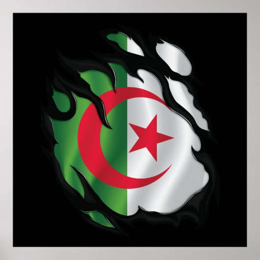 Rippenflagge in Algerien Poster (Vorne)