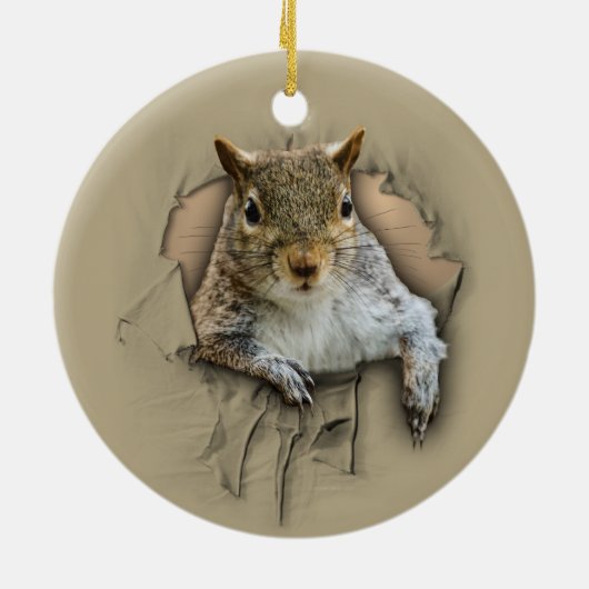 Rippenkichhörnchen Keramik Ornament (Hinten)