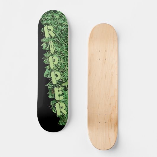 Ripper Skateboard (Vorderseite)