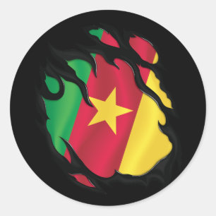Rippfahne von Kamerun Runder Aufkleber