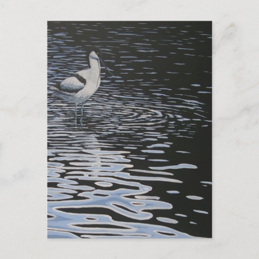 Ripples und ein Avocet dagegen Postkarte (Vorderseite)