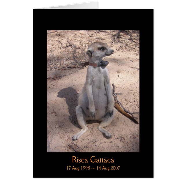 Risca Legenden-Karte (Vorne)