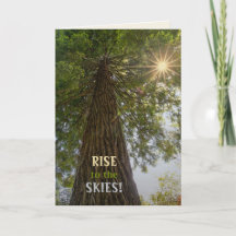 RISE Inspirationelles Foto eines Baumes zum Himmel
