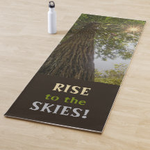 RISE Inspirationelles Foto eines Baumes zum Himmel