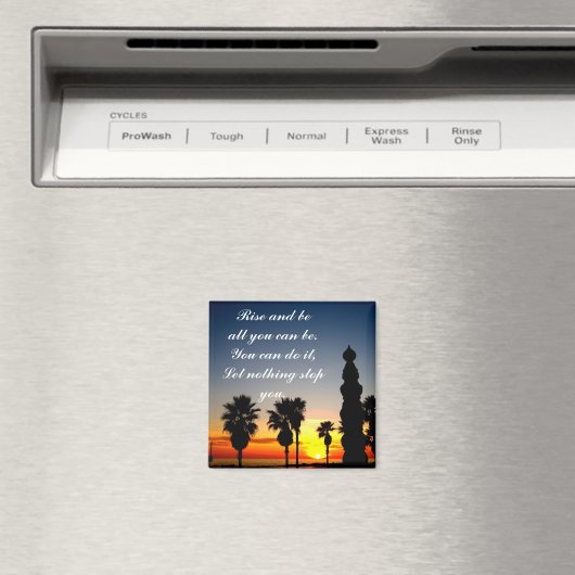 Rise_ Magnet (In Situ (Geschirrspüler))