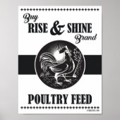 RISE & SHINE POSTER (Vorne)