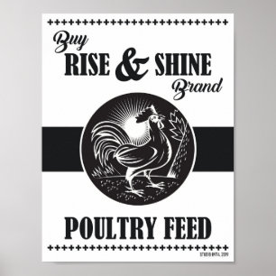RISE & SHINE POSTER