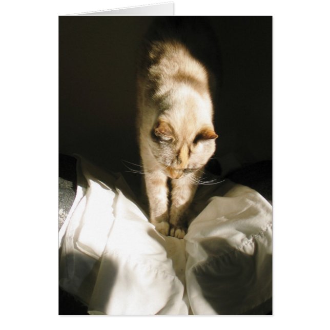 Rise und Shine (Vorne)