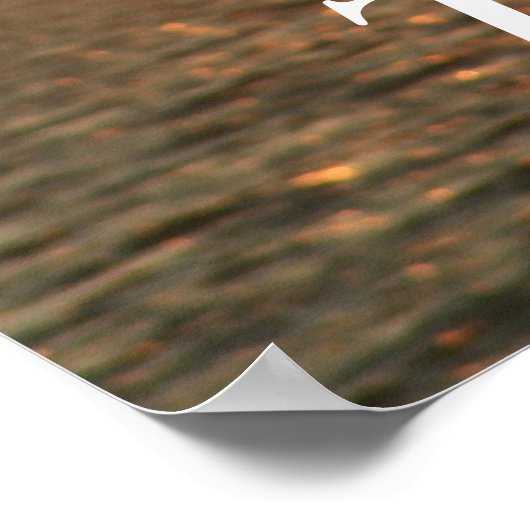 Rise und Shine Poster (Ecke)