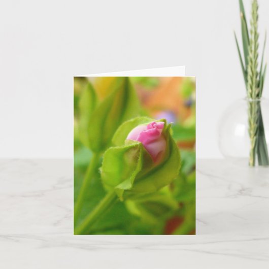 Risiko zur Blüte Karte (Vorderseite)