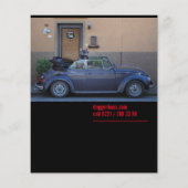 Riss des Tears Car Selling Flyer (Hinten)