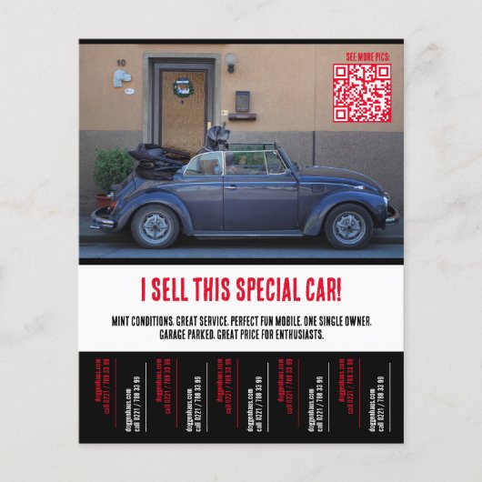 Riss des Tears Car Selling Flyer (Vorne)