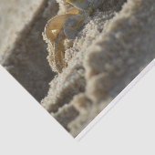 Risse im Sandstreupapier Seidenpapier (Ausschnitt)