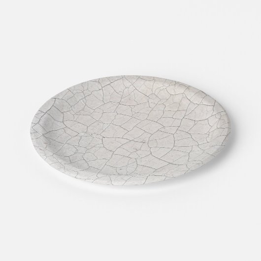 Risse Oberfläche Pappteller (Schrägansicht)