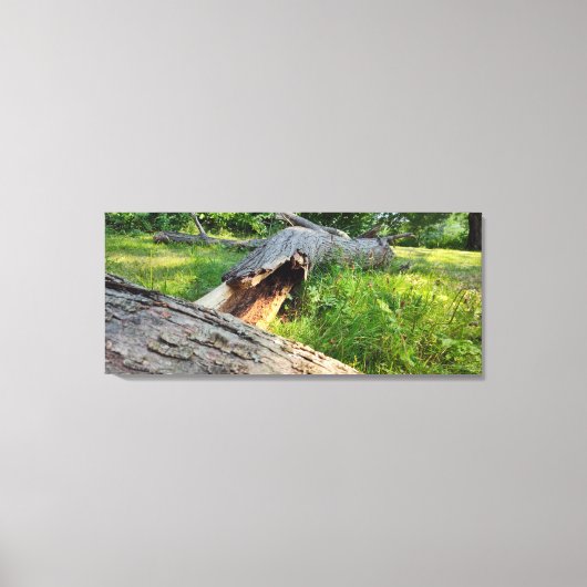 Risse und in Schamlippen Leinwanddruck (Vorderseite)