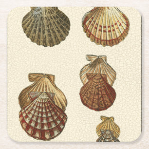 Rissige antike Muscheln Rechteckiger Pappuntersetzer