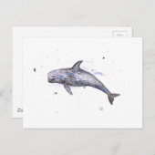 Risso Dolphin Illustration Postkarte (Vorne/Hinten)