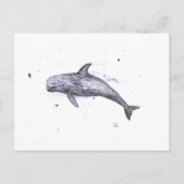 Risso Dolphin Illustration Postkarte (Vorderseite)