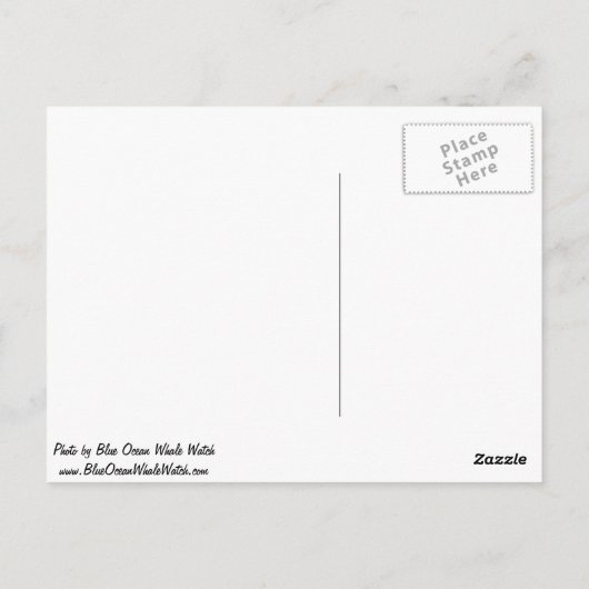 Rissos Delphine Postkarte (Rückseite)