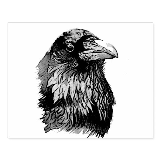 Ritratto di corvo gummistempel (Prägung)