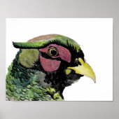 Ritratto di Fagiano Poster (Vorne)