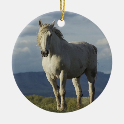 Ritter von Träumen Keramik Ornament (Vorne)