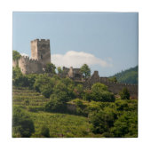 Ritterschloss in Wachau Österreich Fliese (Vorderseite)