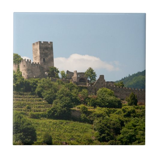 Ritterschloss in Wachau Österreich Fliese (Vorderseite)