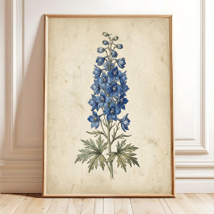 Rittersporn-Blumen-Antik-Wandkunst-Druck Poster