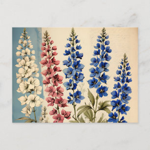 Rittersporn Botanik im Landhausstil Postkarte
