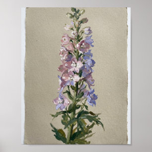 Rittersporn Juli Geburtsblume I Poster